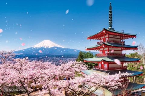 أفضل 5 وجهات سياحية في أرض الساموراي