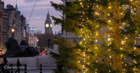 لماذا تقدم النرويج شجرة عيد الميلاد كهدية إلى