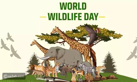 اليوم العالمي للحياة البرية: الأهمية والتاريخ