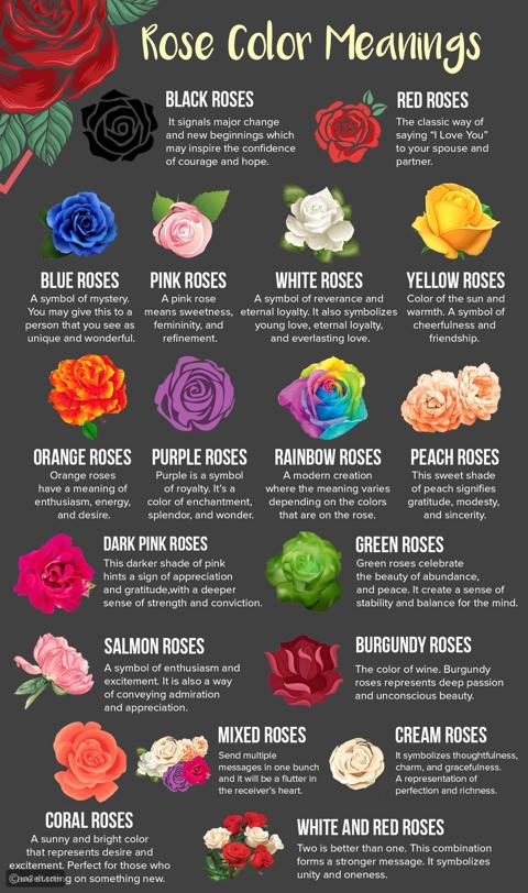 لغة الزهور وما تُشير إليه ألوانها وحقائق عن