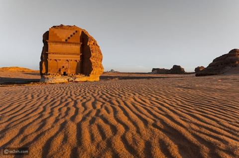 سافاري في السعودية: مغامرة لا تُنسى في الصحراء