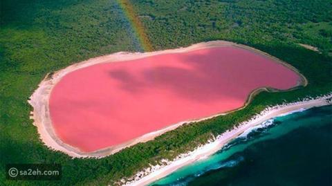 زيادة عدد البحيرات الوردية في العالم بفضل تغير