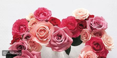 يوم الورد - أطلق شرارة الحب بزهرة واحتفل كما