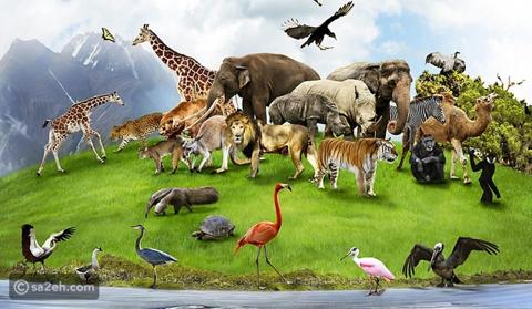 اليوم العالمي للحيوانات البرية