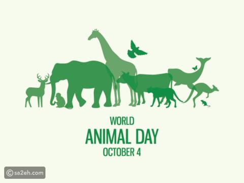 الاحتفال باليوم العالمي للحيوان